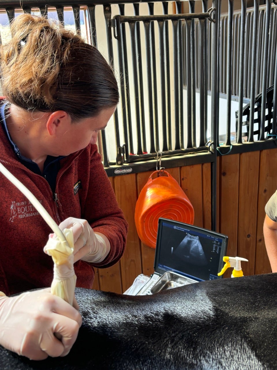 MMG US Guided Injections