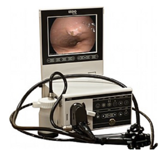 Mobile Endoscopy